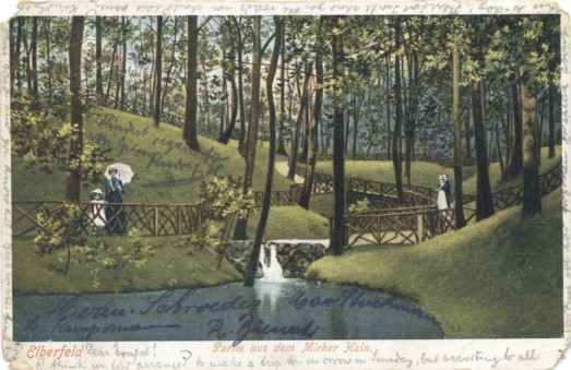 Eine Partie aus dem Mirker Hain. Eine Partie aus dem Mirker Hain.