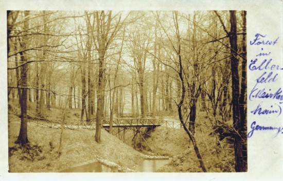 Die obere Schlucht. Die obere Schlucht.