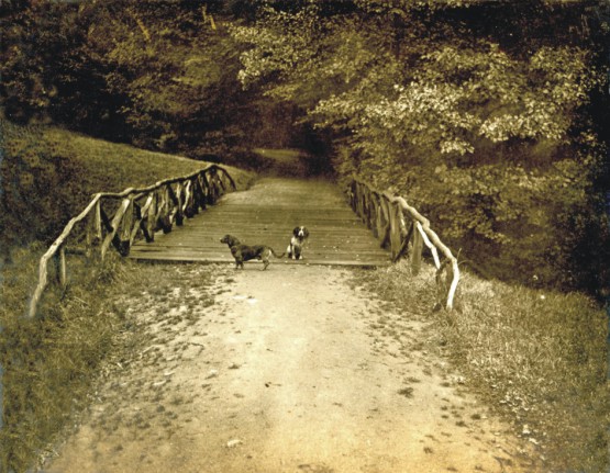 Knüppelholzbrücke Eine Knüppelholz Brücke von 1915, östlich der Vogelsangstraße. © Günter Hermanns