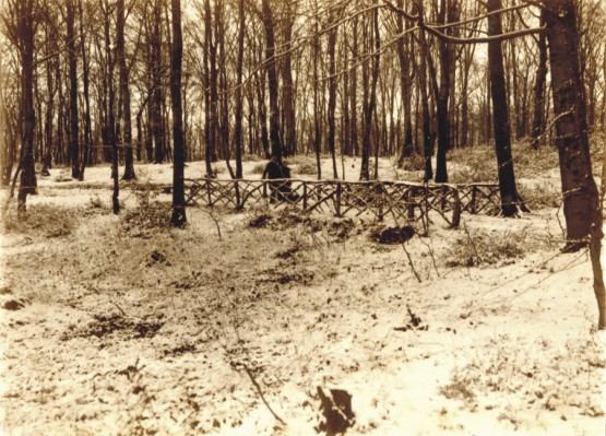 Winter Der Mirker Hain im Winter des Jahres 1915. © Günter Hermanns